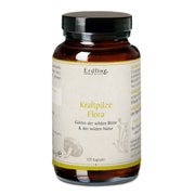 BIO Kraftpilze Flora - Vitalpilz Synergetikum - 120 Kapseln 120 St