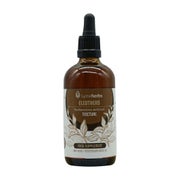 Borstige Taigawurzel (Eleuthero), Tinktur 1:5 (100 ml) 100 ml