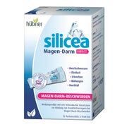 Hübner Silicea Balsam Magen-Darm Direkt 225 ml