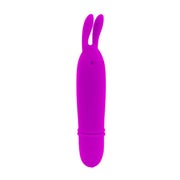 Pretty Love - Flirtation Boyce Stimulierendes Massager 1 St