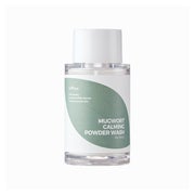 Isntree Mugwort Calming Powder Wash (Mini)