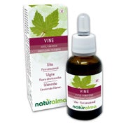 Naturalma Weinrebe Vitis vinifera Tropfen 30 ml
