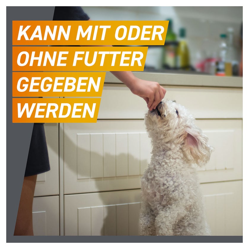FRONTPRO Kautablette Hunde 10-25kg 3 St