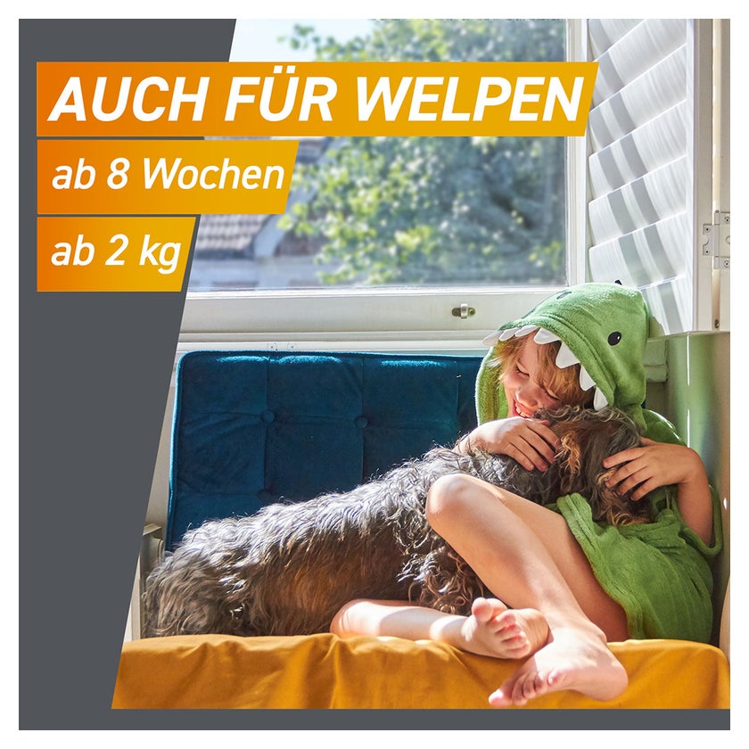 FRONTPRO Kautablette Hunde 10-25kg 3 St
