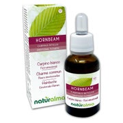Naturalma Hainbuche Carpinus betulus Tropfen 30 ml