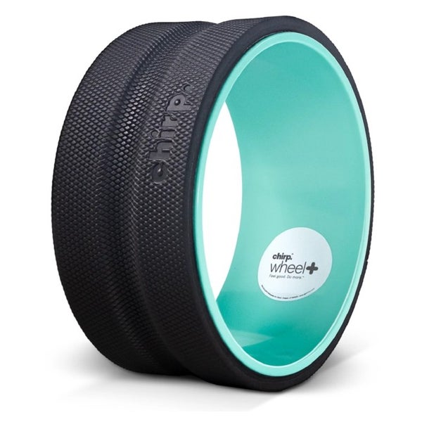 CHIRP 25,4 cm Wheel Plus – Fest 1 St