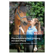 Pferdeführerschein Umgang mit dem Pferd