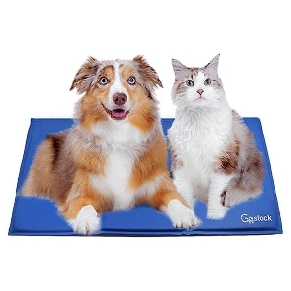 Kühlmatte Hunde Katzen ungiftig Gel selbstkühlend L 90× 1 St