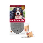 Advantix Spot-On 600sehr große Hunde bis 60 kg 4X6,0 ml