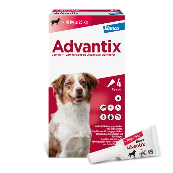 Advantix Spot-On 250 Hunde von 10 bis 25 kg 4 St