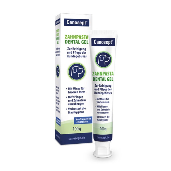 Canosept Zahnpasta Dental Gel 1 St