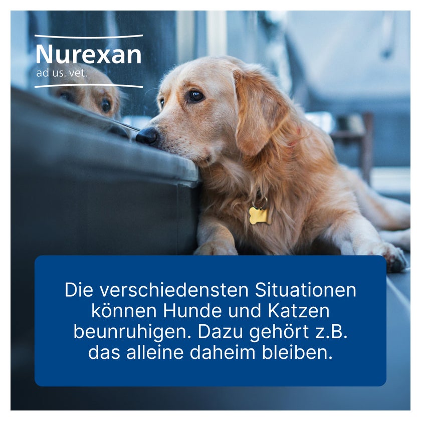 Nurexan ad us. vet. 100 St