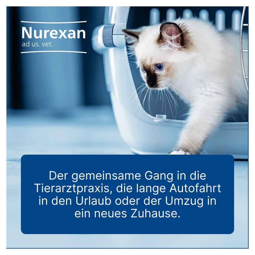 Nurexan ad us. vet. 100 St