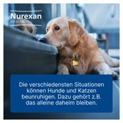 Nurexan ad us. vet. 100 St