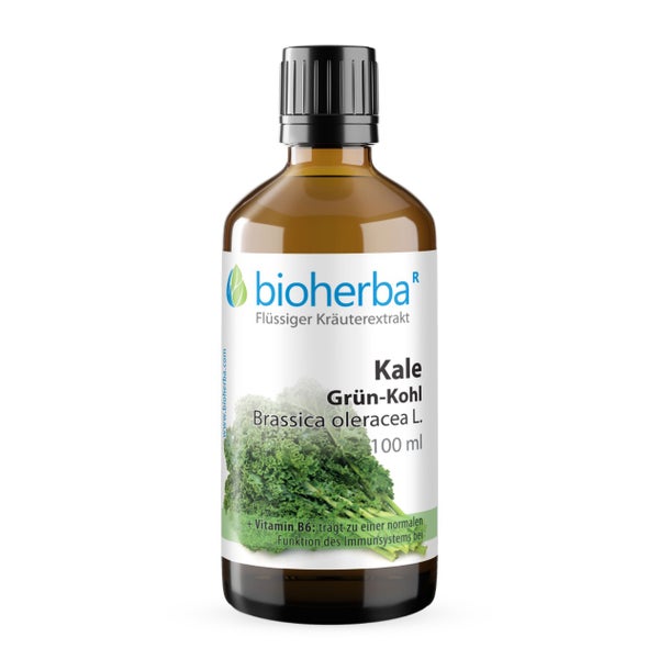 Bioherba Kale Grün-Kohl Brassica oleracea L.  Tropfen Tinktur 50 ml