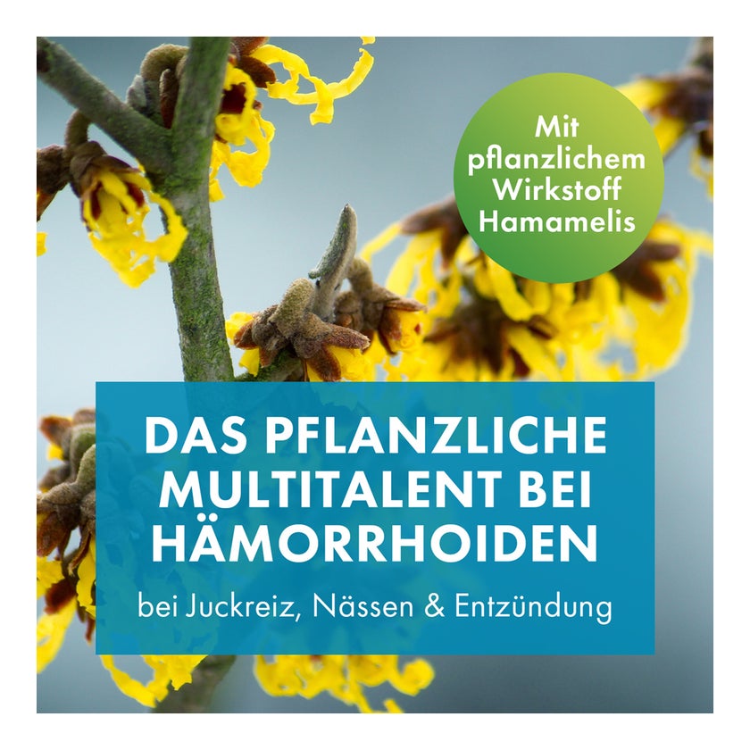 Faktu lind Hämorrhoidensalbe 25 g