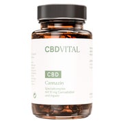 Produktabbildung: CBD VITAL Cannazin Kapseln mit Ingwer & CBD fürs Immunsystem 60 St