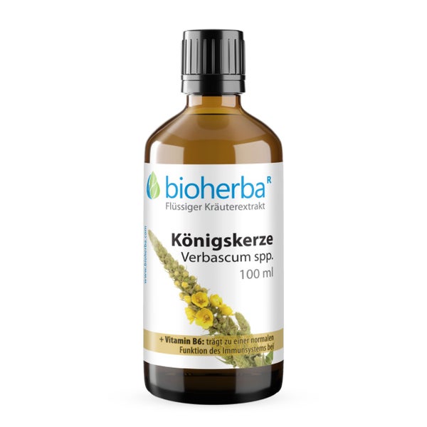 Bioherba Königskerze Verbascum spp.  Tropfen Tinktur 50 ml