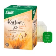 Kurkuma Tee Ingwer & Zimt Bio Salus Filterbeutel 15 St