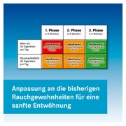 nikofrenon 14 mg/24 Stunden Pflaster 14 St