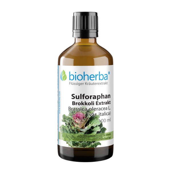 Bioherba Sulforaphan Brokkoli Exrakt Tropfen Tinktur 50 ml