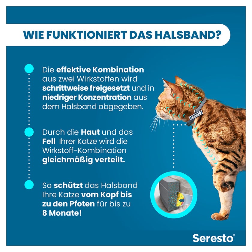 Seresto Halsband Katze 1 St online kaufen | DocMorris