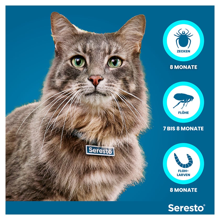 Seresto Halsband Katzen 1 St