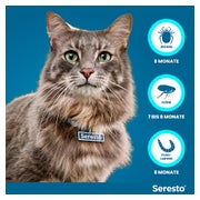 Seresto Halsband Katzen 1 St
