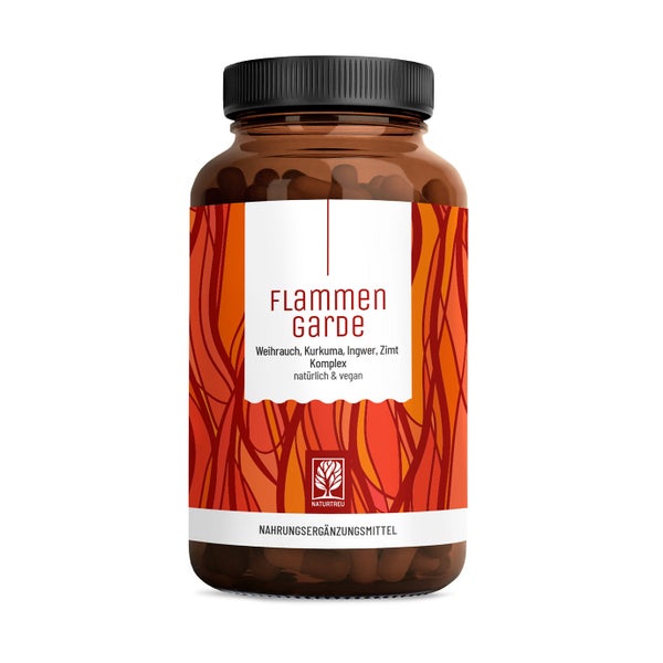 Kurkuma Weihrauch Komplex mit Ingwer und Zimt - Ayurveda Kur - FLAMMENGARDE - 90 vegane Kapseln - NATURTREU® 90 St