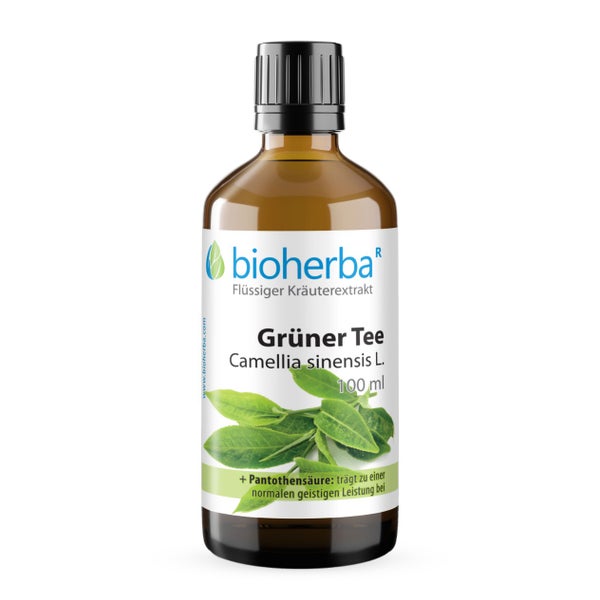 Bioherba Grüner Tee Camellia sinensis L.  Tropfen Tinktur 50 ml
