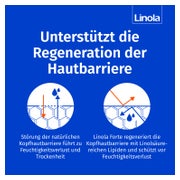 Linola Kopfhaut Tonikum Forte 100 ml