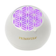 Produktabbildung: Aroma Ventilator Flower 1 St
