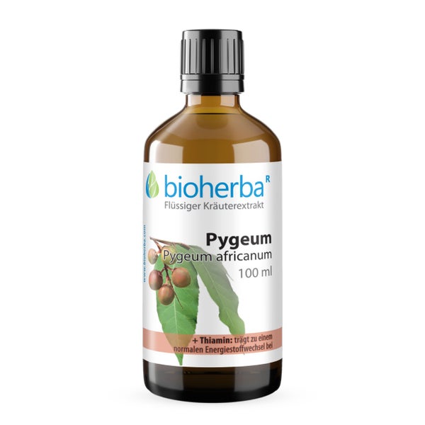 Bioherba Pygeum Pygeum africanum Tropfen Tinktur 50 ml
