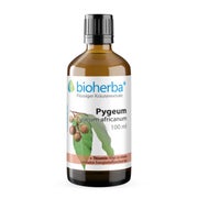 Bioherba Pygeum Pygeum africanum Tropfen Tinktur 50 ml