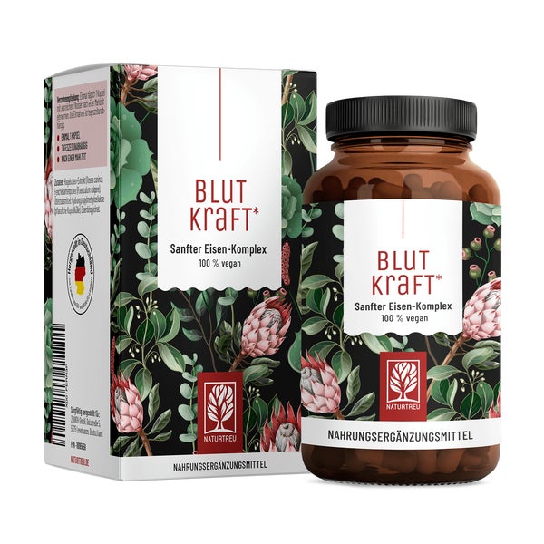 Eisen Komplex mit Fenchel, Vitamin C & Cofaktoren - BLUTKRAFT - 120 vegane Kapseln - NATURTREU® 120 St