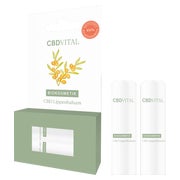 Produktabbildung: CBD VITAL Lippenbalsam mit CBD |schnelle, natürliche Pflege 2 St
