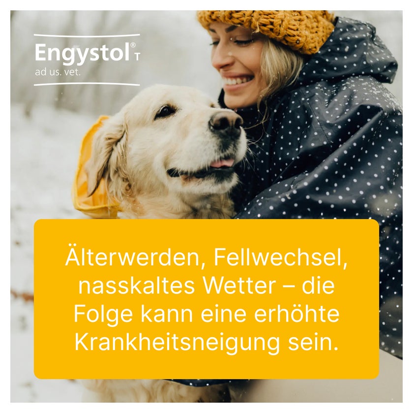 Engystol T ad us.vet.Tabletten 100 St