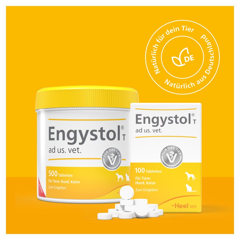 Engystol T ad us.vet.Tabletten 100 St