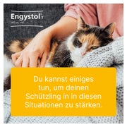 Engystol T ad us.vet.Tabletten 100 St