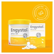 Engystol T ad us.vet.Tabletten 100 St