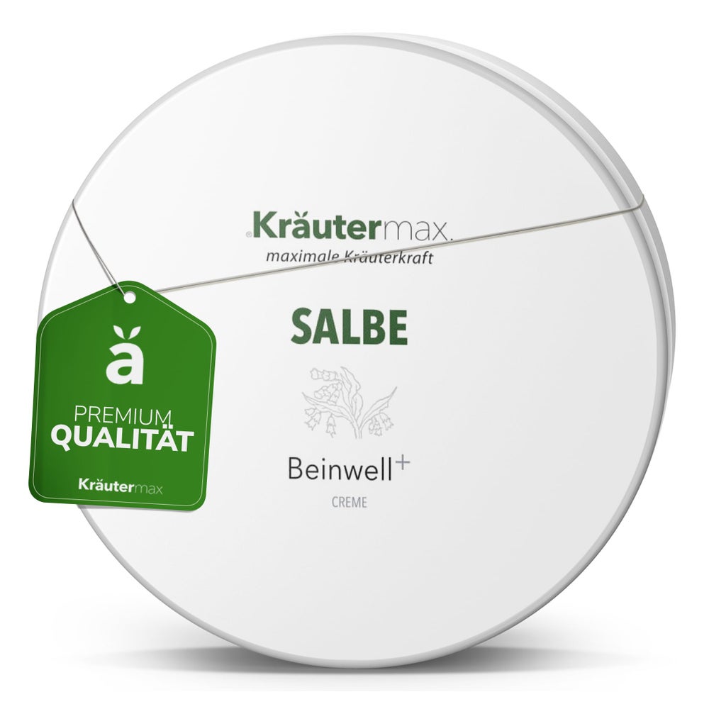 Salbe Beinwell+ 100 ml