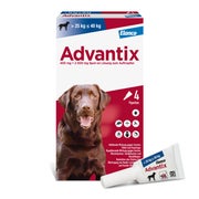 Produktabbildung: Advantix Spot-On 400 25-40 kg 4X4,0 ml