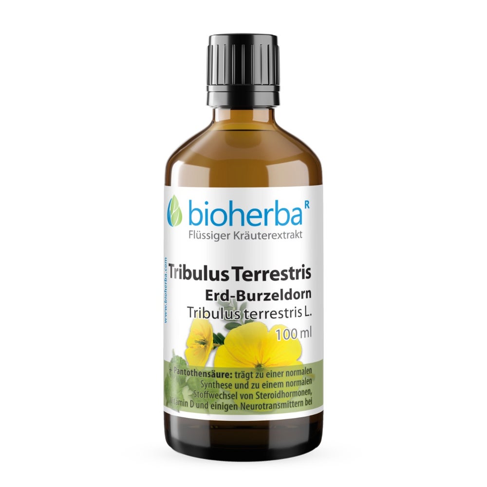 Bioherba Tribulus Terrestris Erd-Burzeldorn Tropfen Tinktur 100 ml