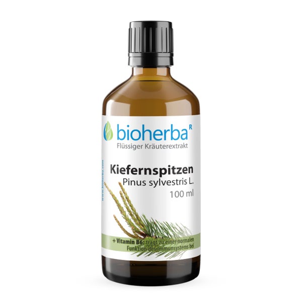 Bioherba Kiefernspitzen Pinus sylvestris L. Tropfen Tinktur 50 ml
