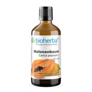 Bioherba Melonenbaum Carica papaya L. Tropfen Tinktur 50 ml