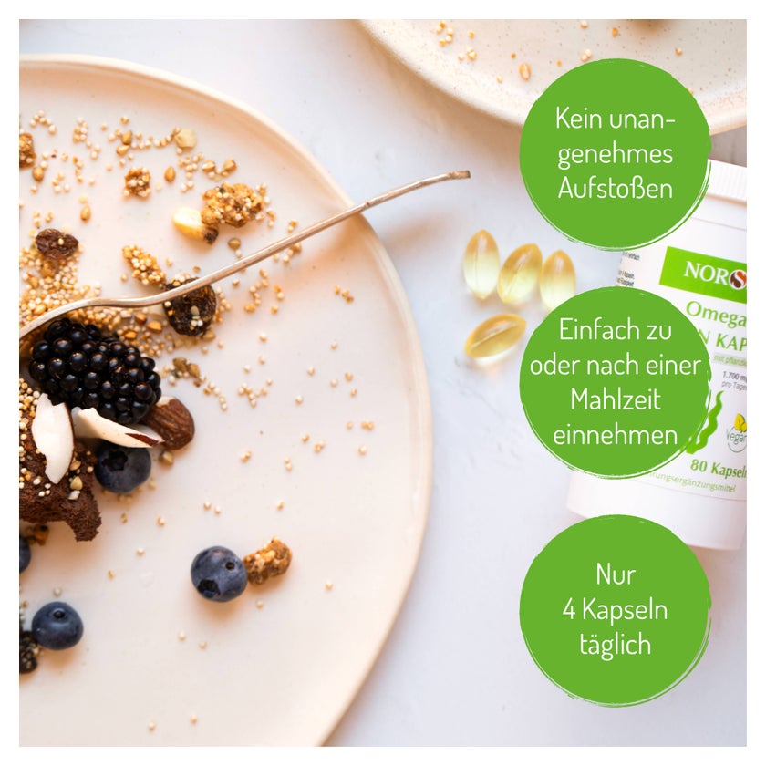 Norsan Omega-3 Vegan Kapseln 80 St