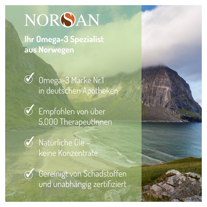 Norsan Omega-3 Vegan Kapseln 80 St