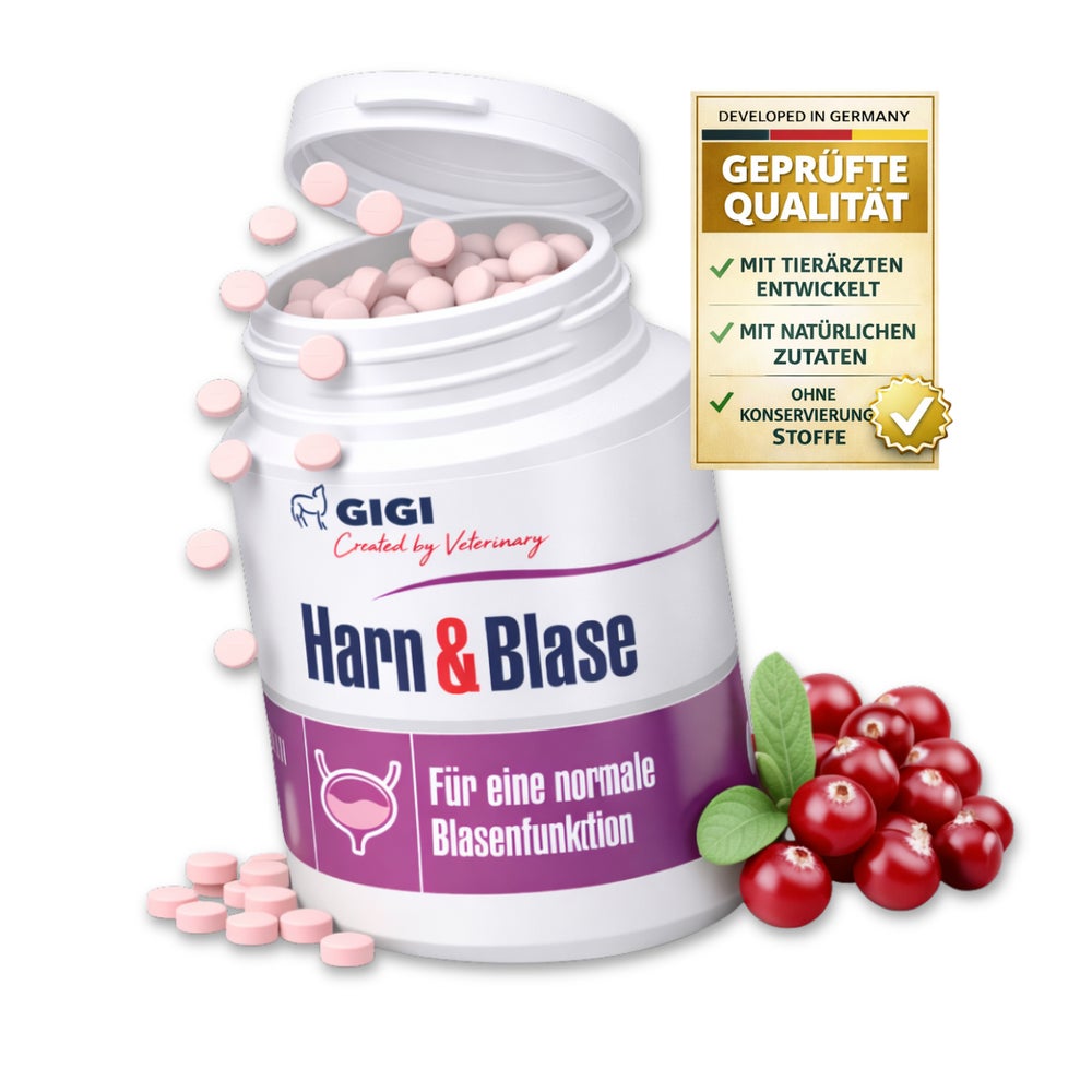 GIGI VET Harn & Blase 90 St