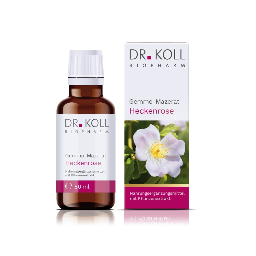 Gemmo-mazerat Heckenrose Dr.koll Rosa Canina Tro. 50 ml