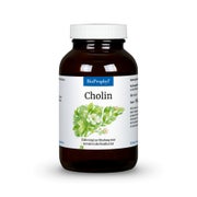 Produktabbildung: BioProphyl Cholin Kapseln 120 St